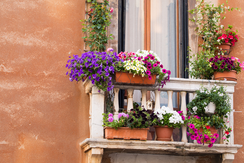 Balkon Blumensichtschutz